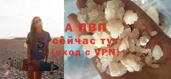 стафф Богданович