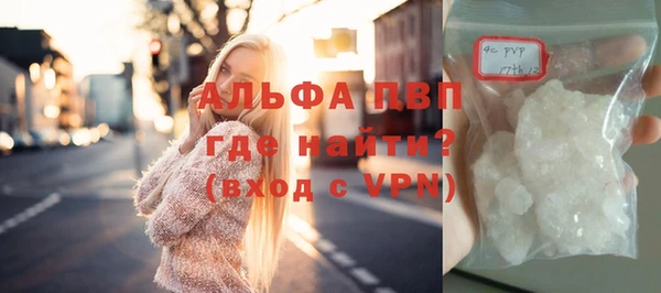 стафф Богданович