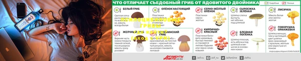 экстази Богородск