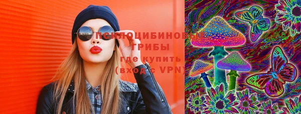 стафф Богданович