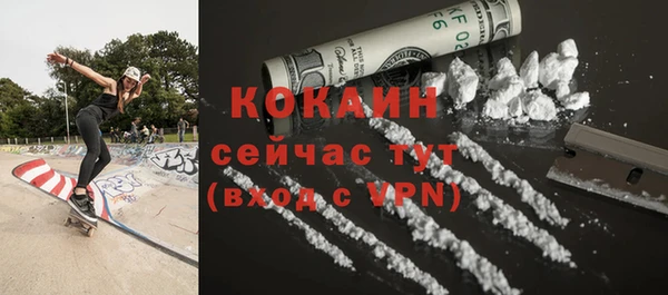 стафф Богданович