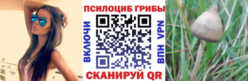 Псилоцибиновые грибы ЛСД  Купить где  Невель 